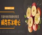 甘肅慶新電子商務(wù)有限公司與我司簽訂網(wǎng)站建設蛇協(xié)議