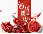 成都盛原泰食品有限公司與我司簽訂網(wǎng)站建設協(xié)議