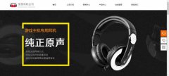 企業(yè)網(wǎng)站建設在線(xiàn)檔案產(chǎn)品需充分的投入