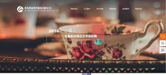 手機網(wǎng)站建設體驗界定的意義