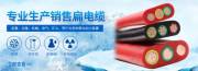 江蘇福銳斯電線(xiàn)電纜有限公司和本公司簽署做網(wǎng)站項目