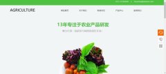 企業(yè)網(wǎng)站建設以突出主題為根本
