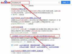 北京愛(ài)維龍管理咨詢(xún)有限公司與本司簽約搜索引擎優(yōu)化協(xié)議