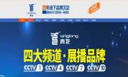廣西青龍化學(xué)建材有限公司與我司簽訂網(wǎng)站建設協(xié)議