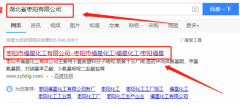 棗陽(yáng)市福星化工有限公司與我做網(wǎng)站設計項目