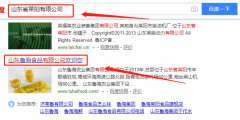 山東魯海農業(yè)集團有限公司與本司簽約網(wǎng)站設計項目
