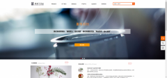 公司網(wǎng)站制作視覺(jué)設計原理