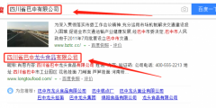 四川省巴中龍頭食品有限公司和本公司簽約網(wǎng)頁(yè)設計合同