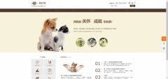 企業(yè)網(wǎng)站設計以情感化深入滿(mǎn)足了消費者的自身情感需求