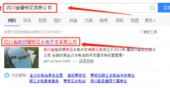 四川省能投攀枝花水電開(kāi)發(fā)有限公司同我公司簽署網(wǎng)站建設事宜