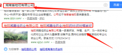 桂陽(yáng)湘嘉佳藥業(yè)有限公司與我司做網(wǎng)站推廣項目