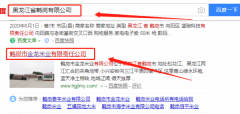 鶴崗市金龍米業(yè)有限公司同我公司簽署網(wǎng)站設計事宜