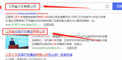 江蘇省沿海開(kāi)發(fā)集團有限公司與本司簽約建網(wǎng)站項目