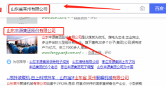 山東豐源集團股份有限公司與本司簽約網(wǎng)頁(yè)設計項目