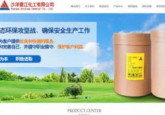 沙洋秦*化工有限公司建網(wǎng)站新一代自助建站、智能建站系統