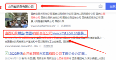 陽(yáng)泉*業(yè)(集團)有限責任公司網(wǎng)站建設營(yíng)銷(xiāo)型案例作品