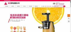 手機網(wǎng)站建設網(wǎng)站風(fēng)格主要類(lèi)型及作用