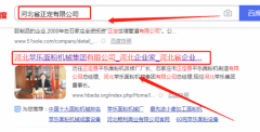 河北*樂(lè )面粉機械集團有限公司網(wǎng)站建設創(chuàng  )意網(wǎng)站效果展示
