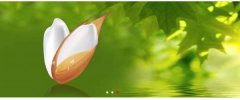 興化市*圓米業(yè)有限公司網(wǎng)站建設有創(chuàng  )意的主題設計