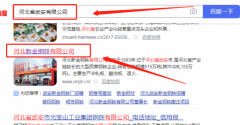 河北新*鋼鐵有限公司網(wǎng)站建設可視化建站作品欣賞