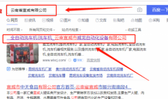 宣威市*龍自動(dòng)化設備有限公司網(wǎng)站建設有創(chuàng  )意的主題設計