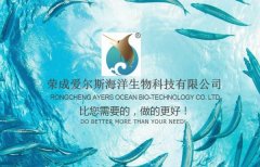 榮成愛(ài)*斯海洋生物科技有限公司網(wǎng)站建設新一代自助建站、智能建站系統