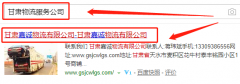 甘肅*誠物流有限公司網(wǎng)站建設營(yíng)銷(xiāo)型案例作品