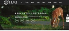 手機網(wǎng)站建設網(wǎng)頁(yè)游戲的風(fēng)靡