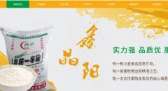 寧陽(yáng)縣鑫*陽(yáng)面粉有限公司網(wǎng)站建設展示型案例作品