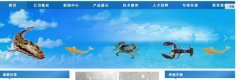 海南定安*美生物工程有限公司企業(yè)網(wǎng)站建設有創(chuàng  )意的主題設計