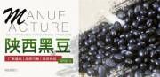 陜西塞禾*農業(yè)發(fā)展有限公司網(wǎng)站建設平面設計案例作品