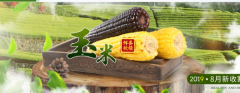 山西省忻州市天*源食品有限公司做網(wǎng)站有創(chuàng  )意的主題設計