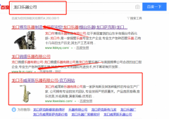 龍口市*萊斯樂(lè )器有限公司網(wǎng)站建設有創(chuàng  )意的主題設計