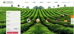 手機網(wǎng)站建設網(wǎng)站制作的web前端開(kāi)發(fā)技術(shù)
