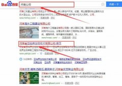 河南省亞*界生物技術(shù)有限公司網(wǎng)站建設基本流程