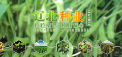 開(kāi)原市遼*種業(yè)有限公司網(wǎng)站建設平面設計案例作品