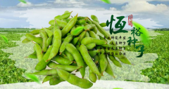 開(kāi)原市*裕種業(yè)有限公司官網(wǎng)站建設策劃作品欣賞