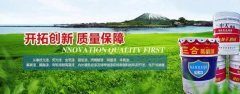 河南省滑縣中*涂料有限公司網(wǎng)站建設有創(chuàng  )意的主題設計