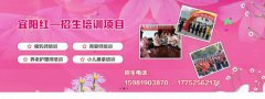 河南宜陽(yáng)*家政服務(wù)有限公司網(wǎng)站建設創(chuàng  )意網(wǎng)站效果展示