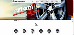 企業(yè)網(wǎng)站設計檔案網(wǎng)站教育及特色服務(wù)