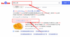 丹東君*食品股份有限公司網(wǎng)站建設有創(chuàng  )意的主題設計