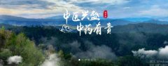 普洱淞*醫藥集團有限公司網(wǎng)站建設新一代自助建站、智能建站系統