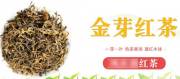 昆明*軒茶葉有限公司網(wǎng)站建設創(chuàng  )意網(wǎng)站效果展示