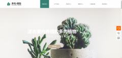 企業(yè)網(wǎng)站設計網(wǎng)頁(yè)布局的方法