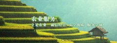 臨夏州凱*農牧投資發(fā)展集團有限公司網(wǎng)站建設有創(chuàng  )意的主題設計