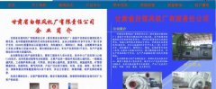 甘肅省白銀*機廠(chǎng)有限責任公司網(wǎng)頁(yè)設計展示型案例作品