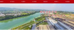百色市*晟礦業(yè)有限公司網(wǎng)站建設營(yíng)銷(xiāo)型案例作品