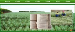 廣西玉林市長(cháng)*劍麻有限公司企業(yè)網(wǎng)站建設新一代自助建站、智能建站系統