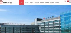 四川東*科技集團股份有限公司制作網(wǎng)站營(yíng)銷(xiāo)型案例作品