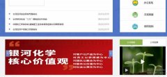 四川省銀*化學(xué)股份有限公司網(wǎng)站建設基本流程